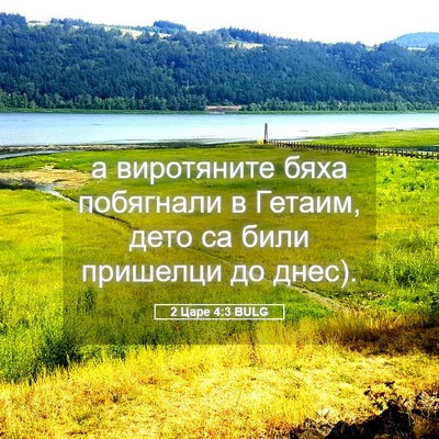 Picture 05 - 2 Царе 4:3 BULG - а виротяните бяха - Bible Verse Picture