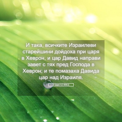 Picture 05 - 2 Царе 5:3 BULG - И така, всичките Израилеви - Bible Verse Picture