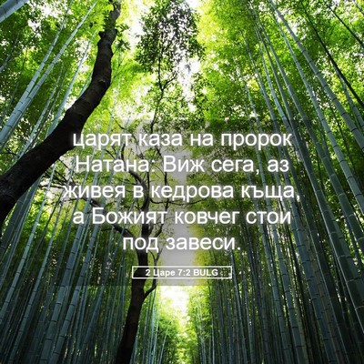 Picture 05 - 2 Царе 7:2 BULG - царят каза на пророк - Bible Verse Picture
