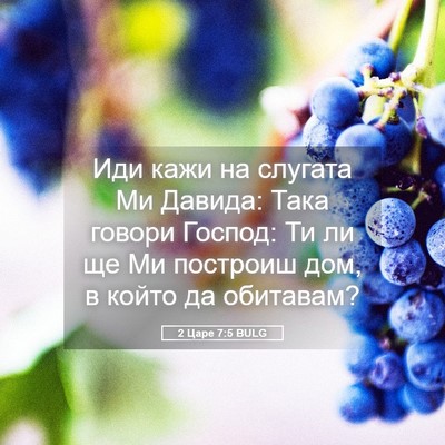 Picture 05 - 2 Царе 7:5 BULG - Иди кажи на слугата Ми - Bible Verse Picture