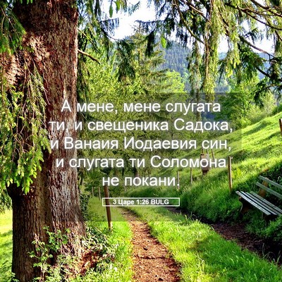Picture 05 - 3 Царе 1:26 BULG - А мене, мене слугата ти, и - Bible Verse Picture