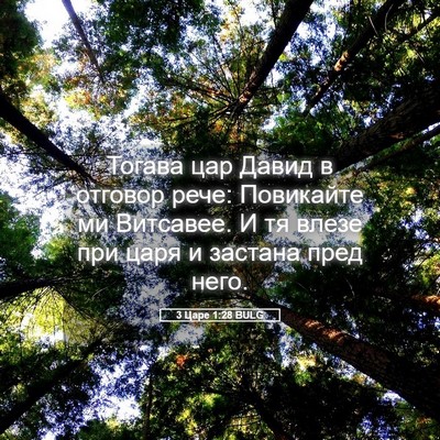Picture 05 - 3 Царе 1:28 BULG - Тогава цар Давид в отговор - Bible Verse Picture