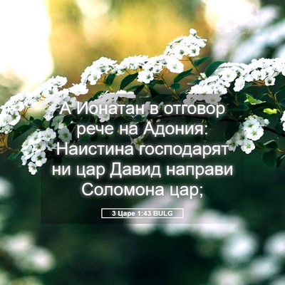 Picture 05 - 3 Царе 1:43 BULG - А Ионатан в отговор рече на - Bible Verse Picture
