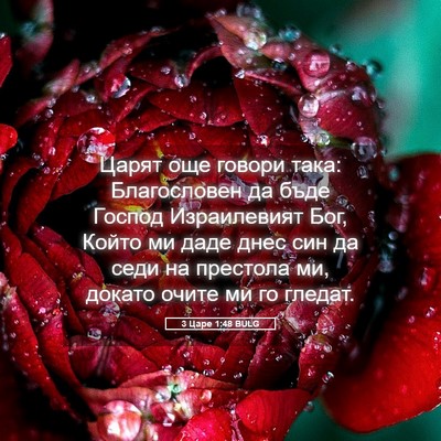 Picture 05 - 3 Царе 1:48 BULG - Царят още говори така: - Bible Verse Picture