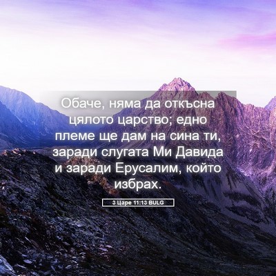 Picture 05 - 3 Царе 11:13 BULG - Обаче, няма да откъсна - Bible Verse Picture