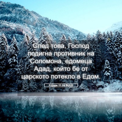 Picture 05 - 3 Царе 11:14 BULG - След това, Господ подигна - Bible Verse Picture