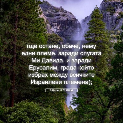 Picture 05 - 3 Царе 11:32 BULG - (ще остане, обаче, нему едни - Bible Verse Picture