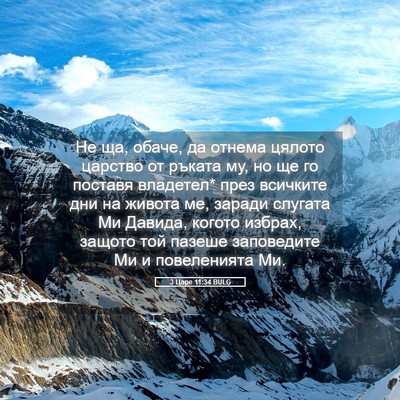 Picture 05 - 3 Царе 11:34 BULG - Не ща, обаче, да отнема - Bible Verse Picture