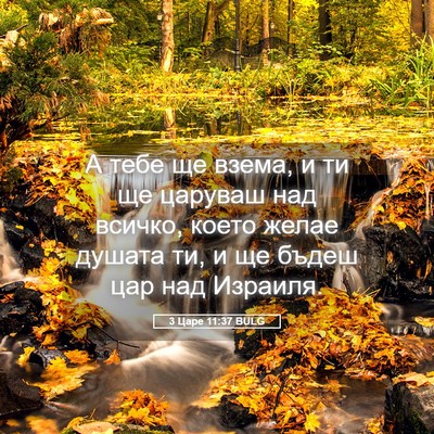 Picture 05 - 3 Царе 11:37 BULG - А тебе ще взема, и ти ще - Bible Verse Picture