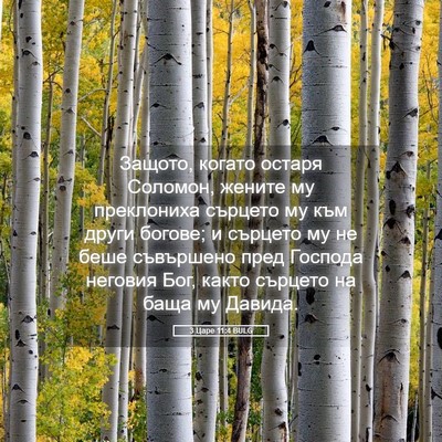 Picture 05 - 3 Царе 11:4 BULG - Защото, когато остаря - Bible Verse Picture