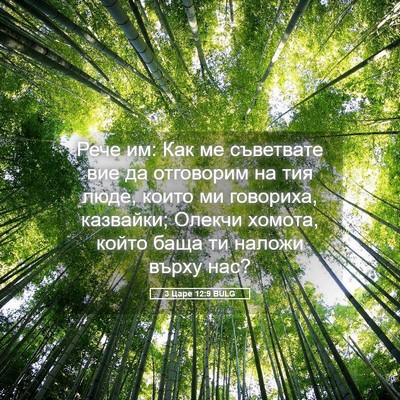 Picture 05 - 3 Царе 12:9 BULG - Рече им: Как ме съветвате - Bible Verse Picture