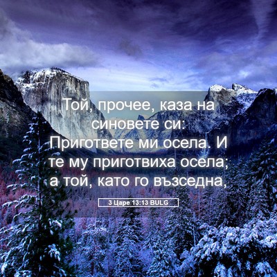Picture 05 - 3 Царе 13:13 BULG - Той, прочее, каза на - Bible Verse Picture