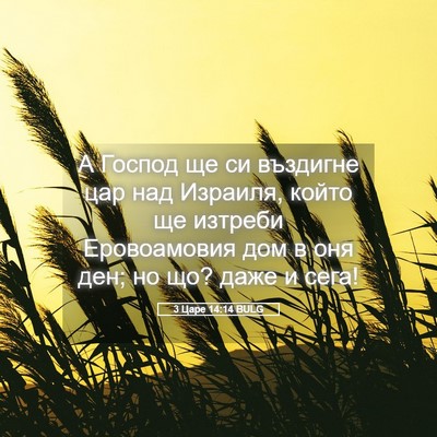 Picture 05 - 3 Царе 14:14 BULG - А Господ ще си въздигне цар - Bible Verse Picture