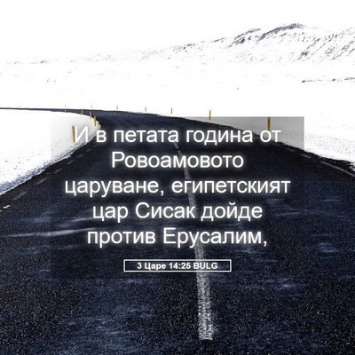 Picture 05 - 3 Царе 14:25 BULG - И в петата година от - Bible Verse Picture