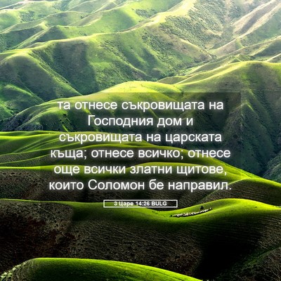 Picture 05 - 3 Царе 14:26 BULG - та отнесе съкровищата на - Bible Verse Picture