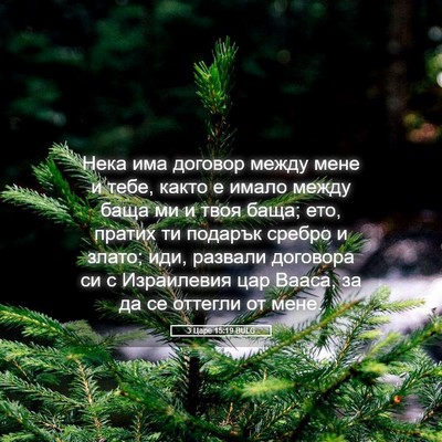 Picture 05 - 3 Царе 15:19 BULG - Нека има договор между - Bible Verse Picture