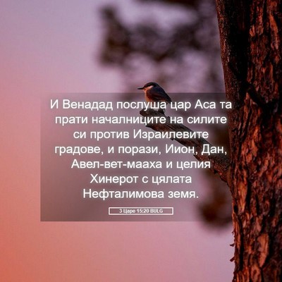 Picture 05 - 3 Царе 15:20 BULG - И Венадад послуша цар Аса - Bible Verse Picture