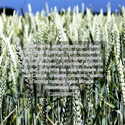 Picture 05 - 3 Царе 16:34 BULG - В неговите дни ветилецът - Bible Verse Picture