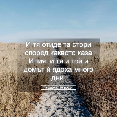 Picture 05 - 3 Царе 17:15 BULG - И тя отиде та стори според - Bible Verse Picture