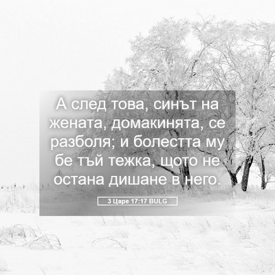 Picture 05 - 3 Царе 17:17 BULG - А след това, синът на - Bible Verse Picture