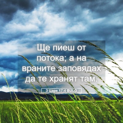 Picture 05 - 3 Царе 17:4 BULG - Ще пиеш от потока; а на - Bible Verse Picture