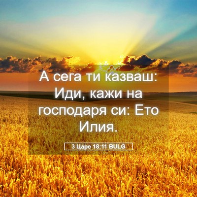 Picture 05 - 3 Царе 18:11 BULG - А сега ти казваш: Иди, кажи - Bible Verse Picture