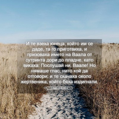 Picture 05 - 3 Царе 18:26 BULG - И те взеха юнеца, който им - Bible Verse Picture