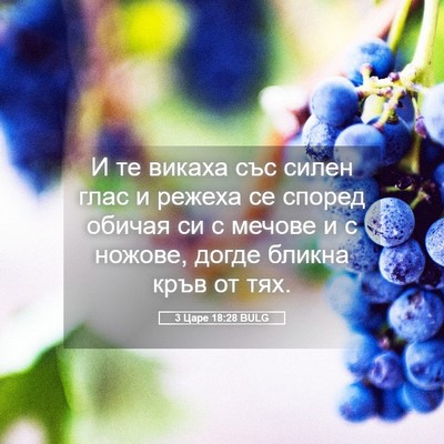 Picture 05 - 3 Царе 18:28 BULG - И те викаха със силен глас - Bible Verse Picture