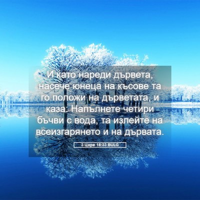 Picture 05 - 3 Царе 18:33 BULG - И като нареди дървета, - Bible Verse Picture