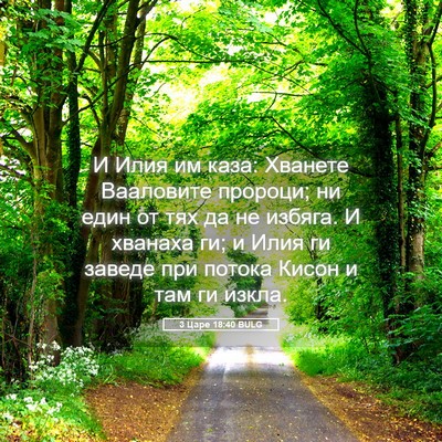 Picture 05 - 3 Царе 18:40 BULG - И Илия им каза: Хванете - Bible Verse Picture