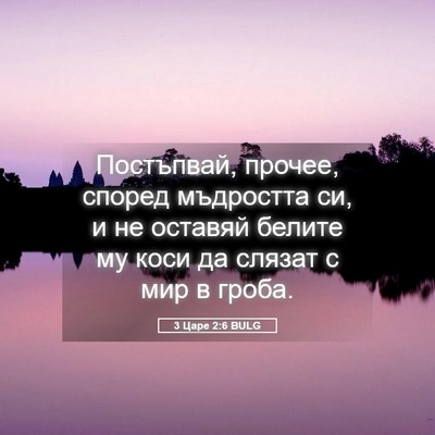 Picture 05 - 3 Царе 2:6 BULG - Постъпвай, прочее, според - Bible Verse Picture
