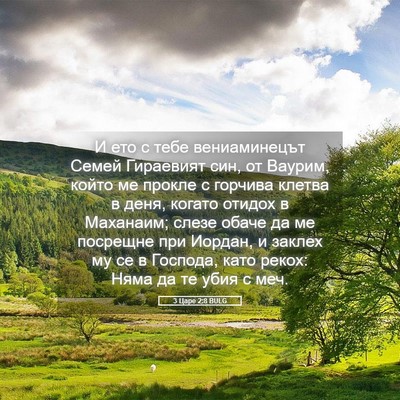 Picture 05 - 3 Царе 2:8 BULG - И ето с тебе вениаминецът - Bible Verse Picture