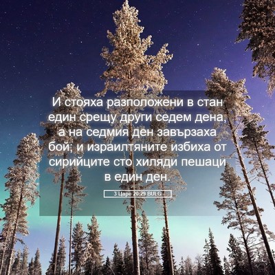 Picture 05 - 3 Царе 20:29 BULG - И стояха разположени в - Bible Verse Picture