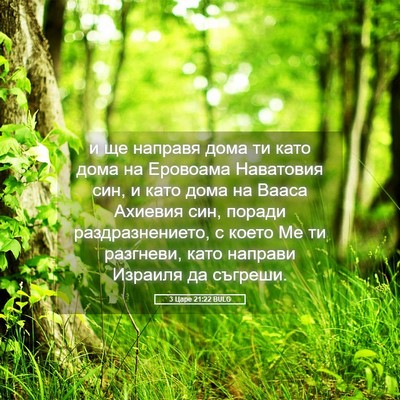 Picture 05 - 3 Царе 21:22 BULG - и ще направя дома ти като - Bible Verse Picture