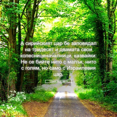 Picture 05 - 3 Царе 22:31 BULG - А сирийският цар бе - Bible Verse Picture