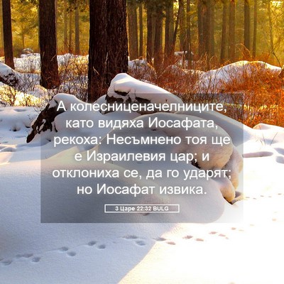 Picture 05 - 3 Царе 22:32 BULG - А колесниценачелниците, - Bible Verse Picture