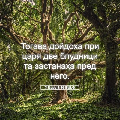 Picture 05 - 3 Царе 3:16 BULG - Тогава дойдоха при царя - Bible Verse Picture