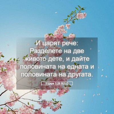 Picture 05 - 3 Царе 3:25 BULG - И царят рече: Разделете на - Bible Verse Picture