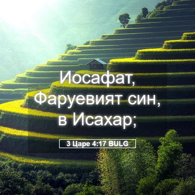 Picture 05 - 3 Царе 4:17 BULG - Иосафат, Фаруевият син, в - Bible Verse Picture