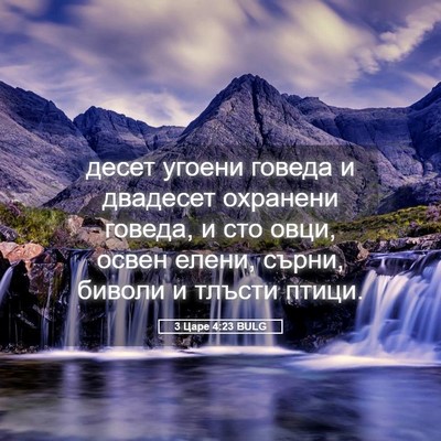 Picture 05 - 3 Царе 4:23 BULG - десет угоени говеда и - Bible Verse Picture
