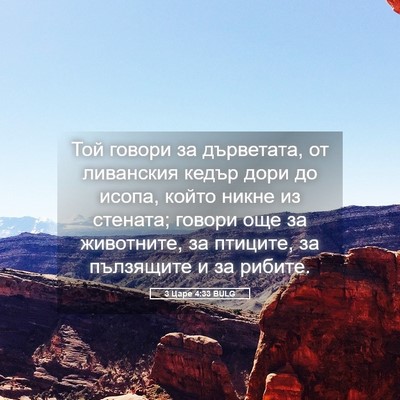 Picture 05 - 3 Царе 4:33 BULG - Той говори за дърветата, от - Bible Verse Picture