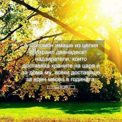 Picture 05 - 3 Царе 4:7 BULG - А Соломон имаше из целия - Bible Verse Picture