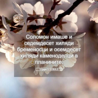 Picture 05 - 3 Царе 5:15 BULG - Соломон имаше и седемдесет - Bible Verse Picture
