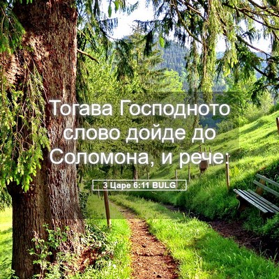 Picture 05 - 3 Царе 6:11 BULG - Тогава Господното слово - Bible Verse Picture