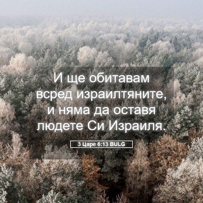 Picture 05 - 3 Царе 6:13 BULG - И ще обитавам всред - Bible Verse Picture