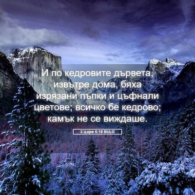 Picture 05 - 3 Царе 6:18 BULG - И по кедровите дървета, - Bible Verse Picture