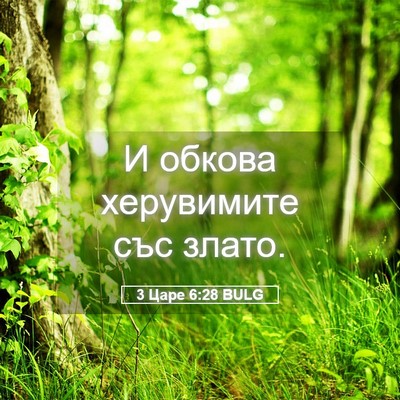 Picture 05 - 3 Царе 6:28 BULG - И обкова херувимите със - Bible Verse Picture