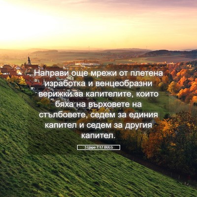 Picture 05 - 3 Царе 7:17 BULG - Направи още мрежи от - Bible Verse Picture