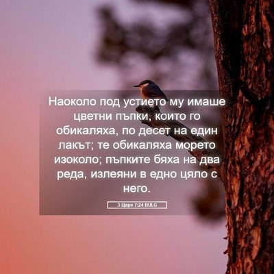 Picture 05 - 3 Царе 7:24 BULG - Наоколо под устието му - Bible Verse Picture