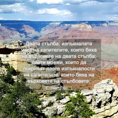 Picture 05 - 3 Царе 7:41 BULG - Двата стълба; изпъкналата - Bible Verse Picture